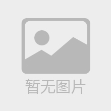 玩沙的快乐（中B班)
